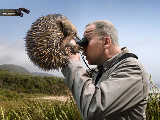 Jumelles Olympus zoom optique