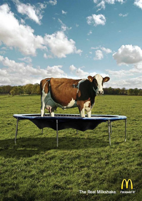 Mcdonald's le vrai milkshake