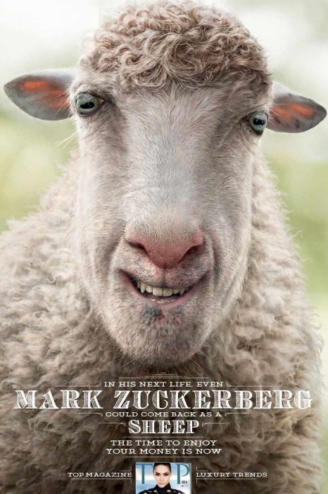Mark Zuckerberg en mouton