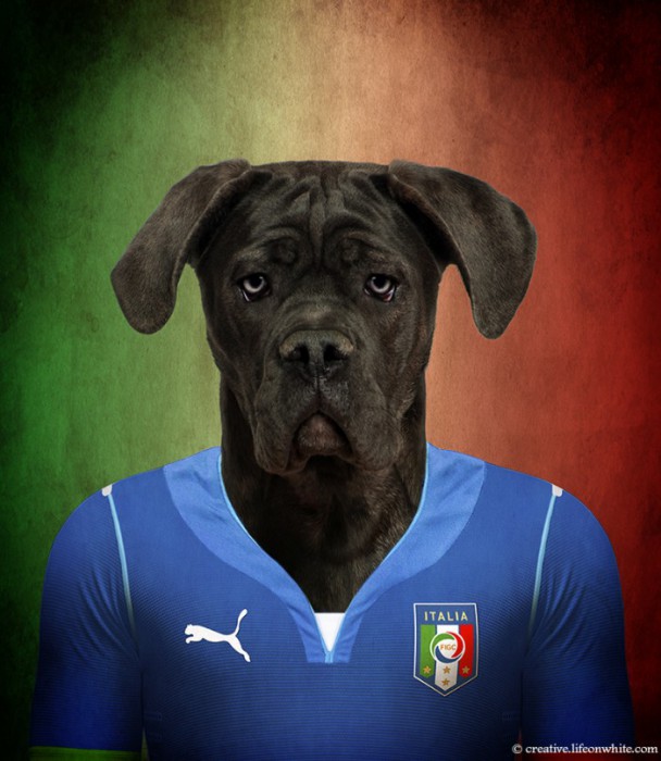 Italie : Cane corso