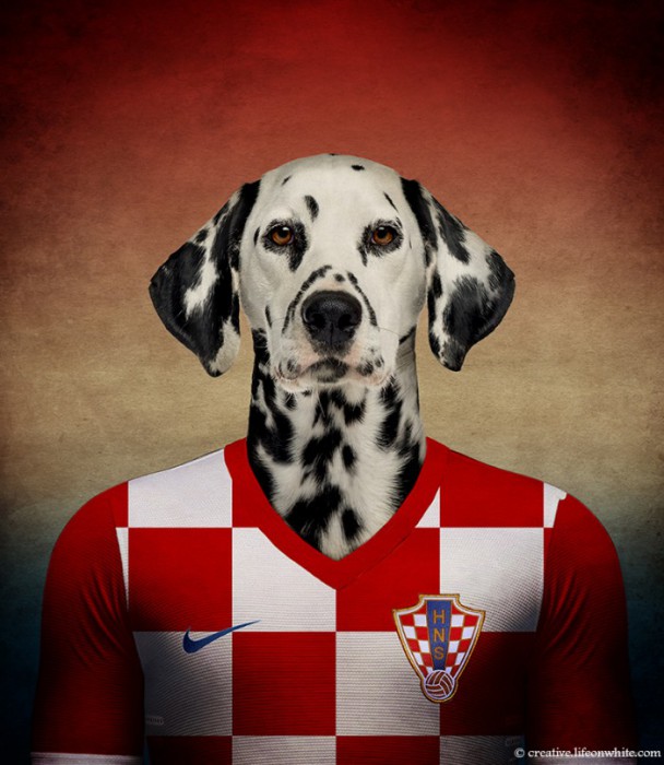 Croatie : Dalmatien