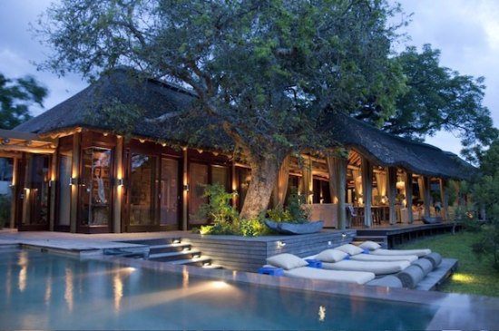 Propriété Phinda, Afrique du Sud