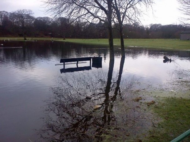 meanwhile_in_scotland_14