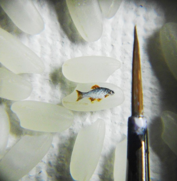 minuscules-peintures-hasan-kale-11