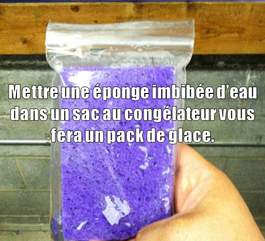 10245358_238052039719139_4482093402555879023_n