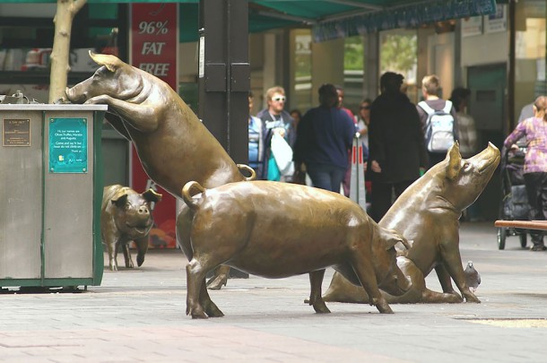 Rundle Mall Pigs à Adelaide (Australie)