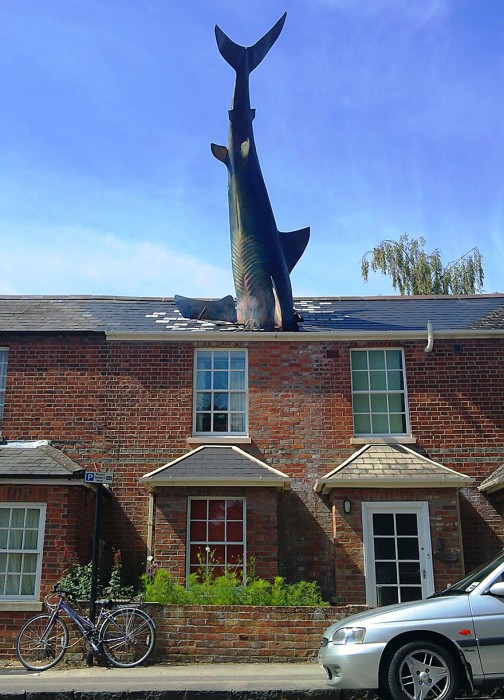 The Shark à Oxford (UK)