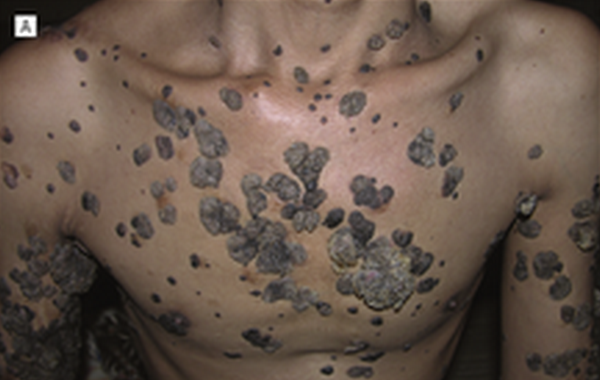 Capture d’écran 2014-07-10 à 12.29.44