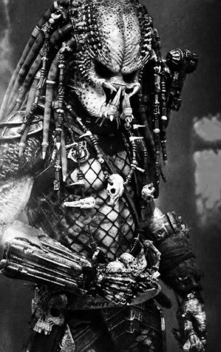 Posted-On-Shock-Mansion3956