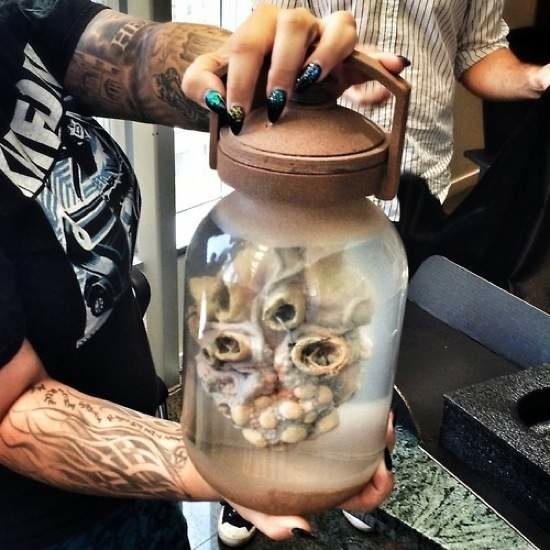 Posted-On-Shock-Mansion4052