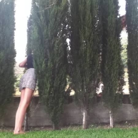 a97885_horsemaning_10-plants