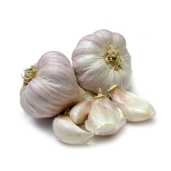 ail violet argentine 70-90 mm