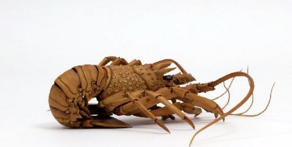 homard6