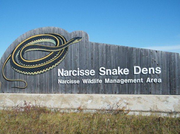 narcisse-snake-dens-entree