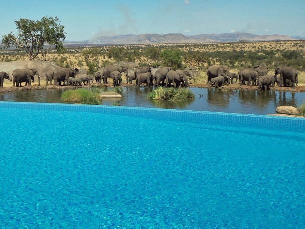 The four seasons, Tanzanie