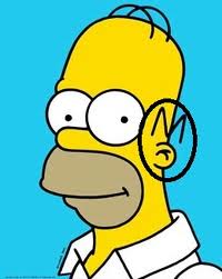 Matt Groening, le créateur des Simpsons, s'est amusé à glisser ses initiales sur la tête d'Homer