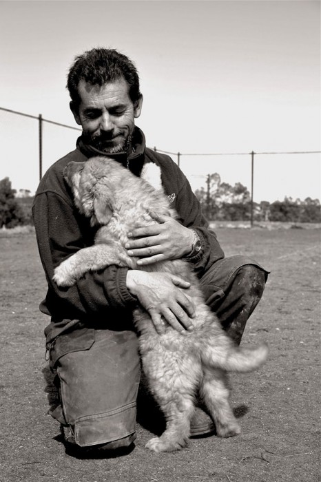 cute-dogs-hugging-humans-14