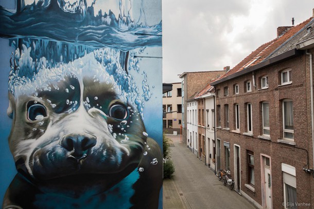 diving-dog-street-art-mural-smates-bart-smeets-2