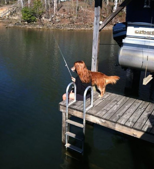 perfectly-timed-photos-71