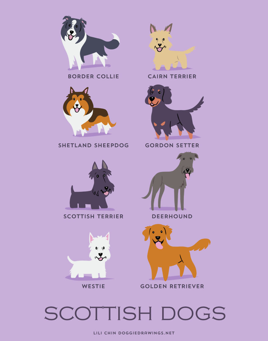 Dogs-Of-The-World-Cute-Poster-Series-Shows-The-Geographic-Origin-Of-Dog-Breeds10__880