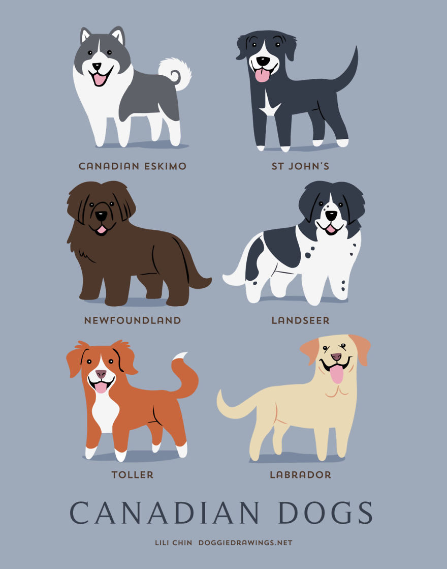 Dogs-Of-The-World-Cute-Poster-Series-Shows-The-Geographic-Origin-Of-Dog-Breeds12__880