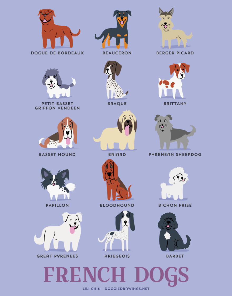 Dogs-Of-The-World-Cute-Poster-Series-Shows-The-Geographic-Origin-Of-Dog-Breeds6__880