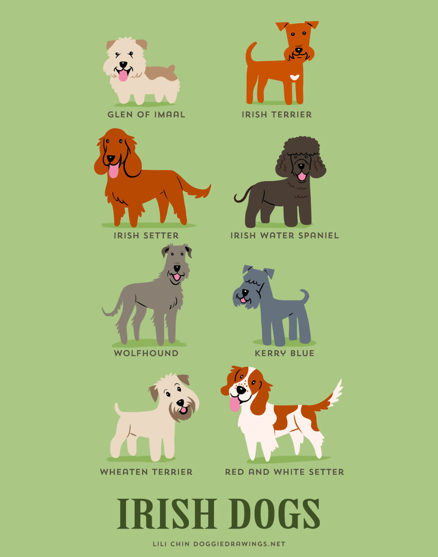 Dogs-Of-The-World-Cute-Poster-Series-Shows-The-Geographic-Origin-Of-Dog-Breeds7__880