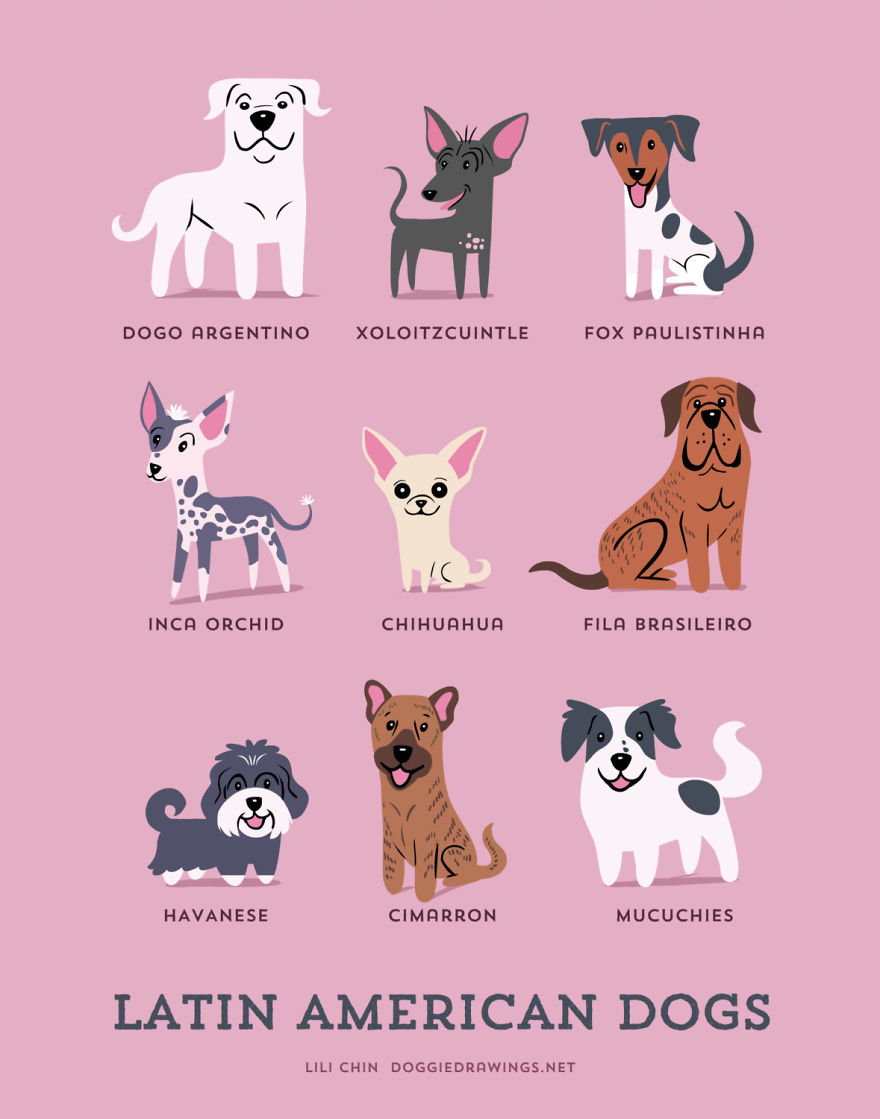 Dogs-Of-The-World-Cute-Poster-Series-Shows-The-Geographic-Origin-Of-Dog-Breeds8__880