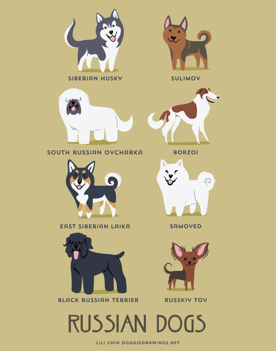 Dogs-Of-The-World-Cute-Poster-Series-Shows-The-Geographic-Origin-Of-Dog-Breeds9__880