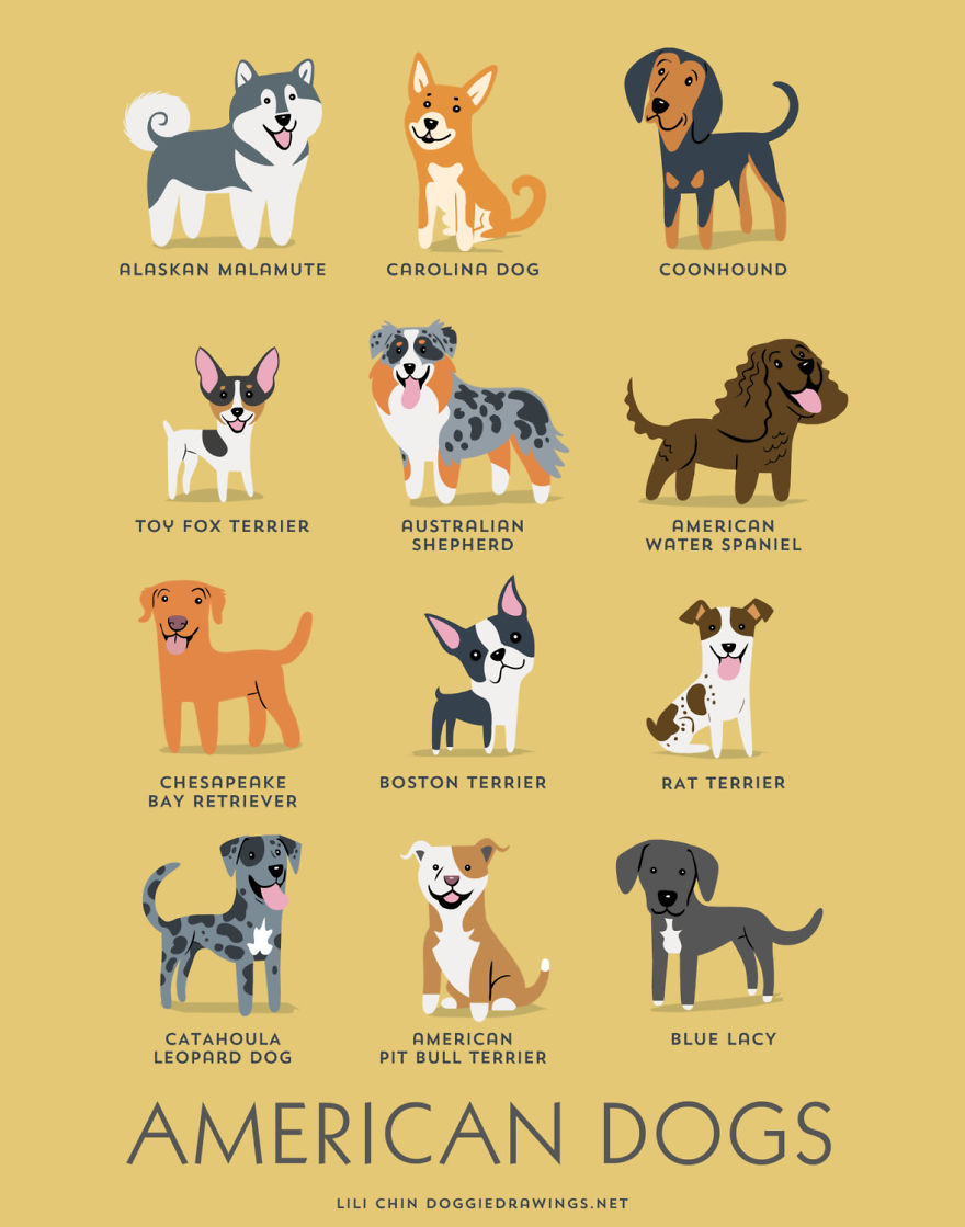 Dogs-Of-The-World-Cute-Poster-Series-Shows-The-Geographic-Origin-Of-Dog-Breeds__880
