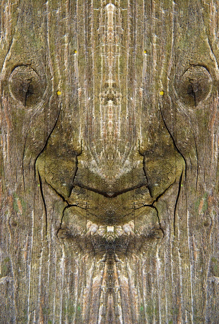 Dream-Creatures-Elido-Turco-1