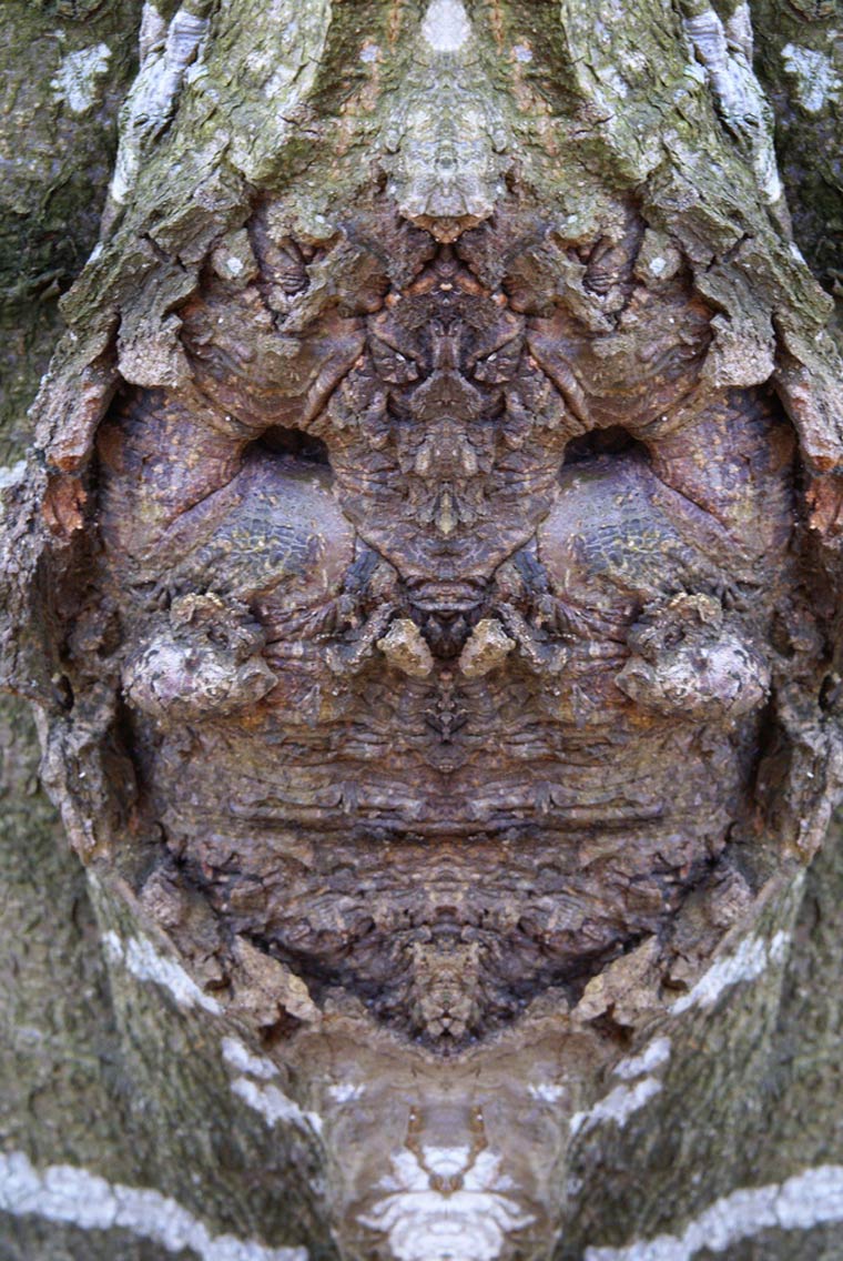 Dream-Creatures-Elido-Turco-10