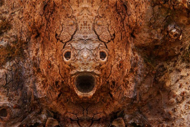 Dream-Creatures-Elido-Turco-11