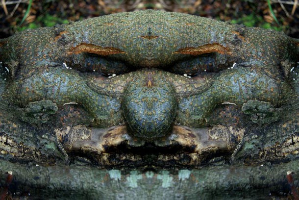 Dream-Creatures-Elido-Turco-14