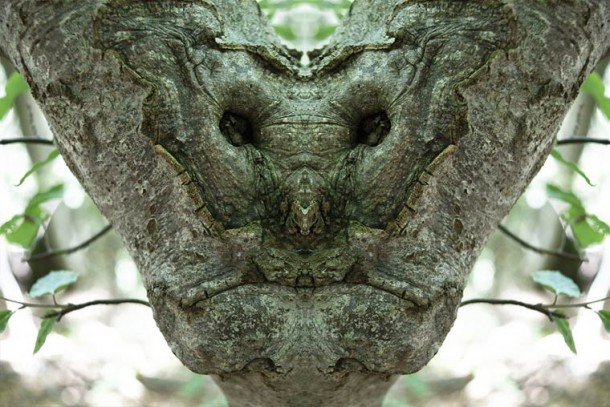 Dream-Creatures-Elido-Turco-15