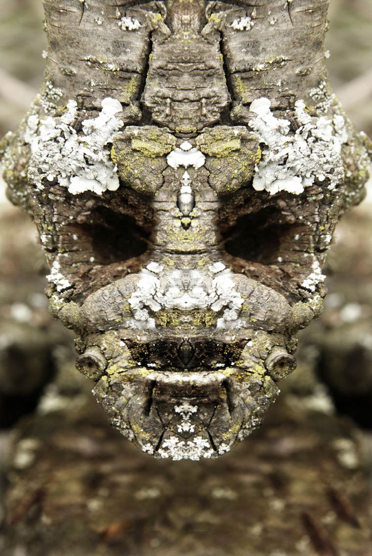 Dream-Creatures-Elido-Turco-16 (1)