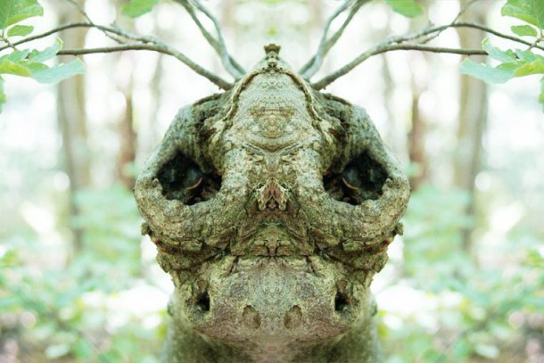 Dream-Creatures-Elido-Turco-2