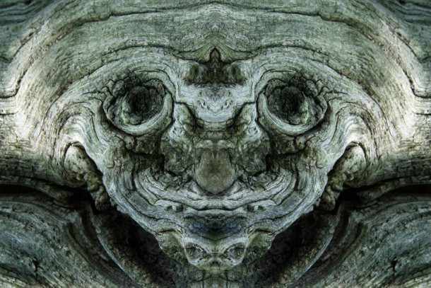 Dream-Creatures-Elido-Turco-3