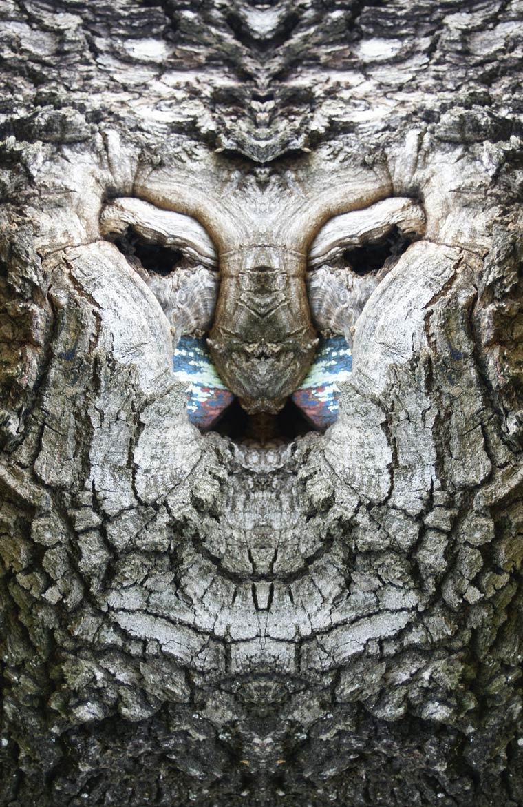 Dream-Creatures-Elido-Turco-4