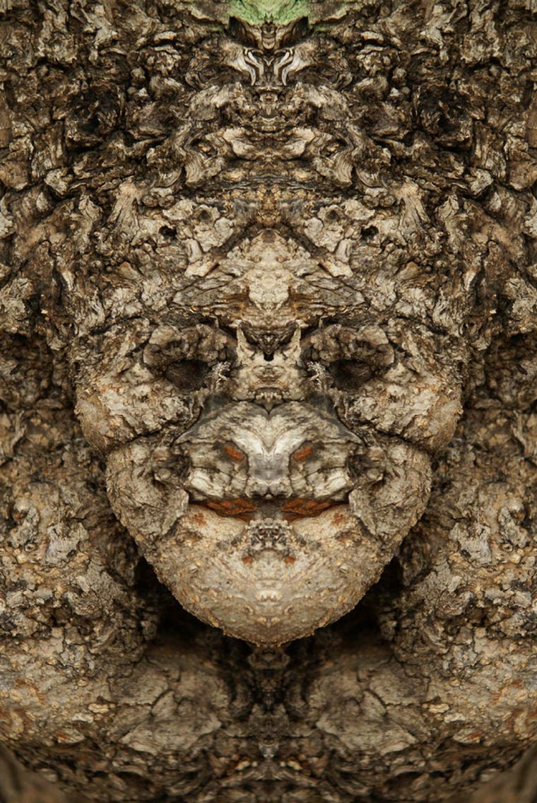 Dream-Creatures-Elido-Turco-6