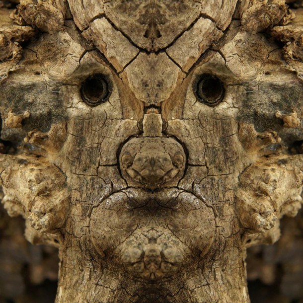 Dream-Creatures-Elido-Turco-top