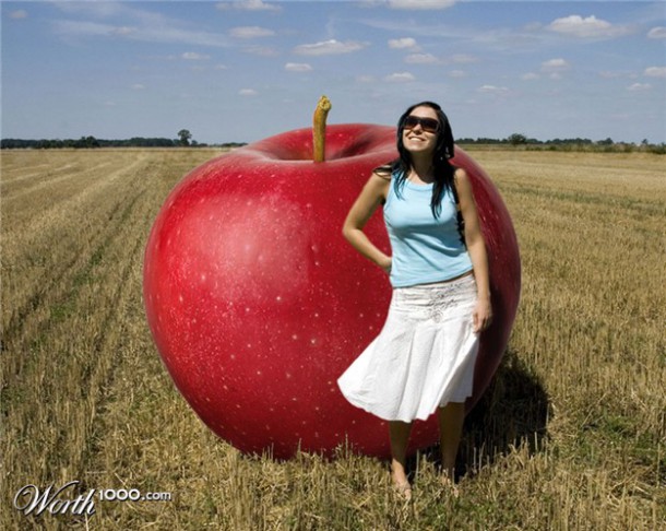 Les plus grosses pommes peuvent avoir un poids équivalent à celui d'un demi litre de lait