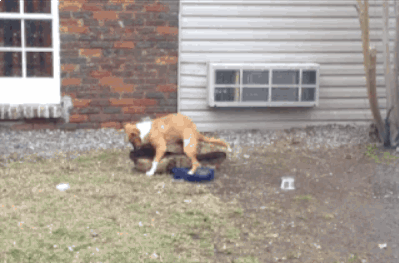 anigif_enhanced-23285-1404285290-5