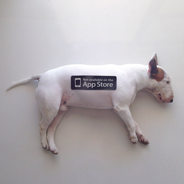 rafael-mantesso-instagram017