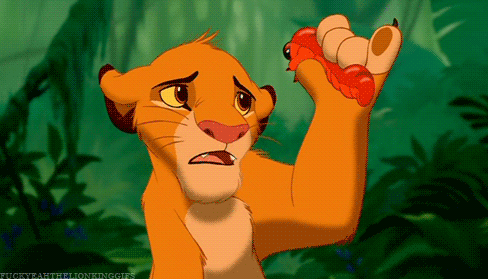 simba