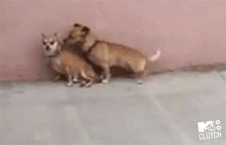 tumblr_mqdqbqi6at1ro64fbo1_500