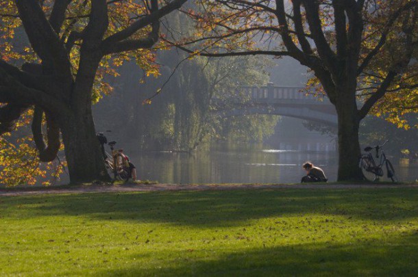 vondelpark3-659x438
