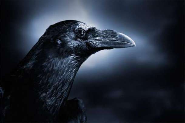 10-surprising-behaviors-4