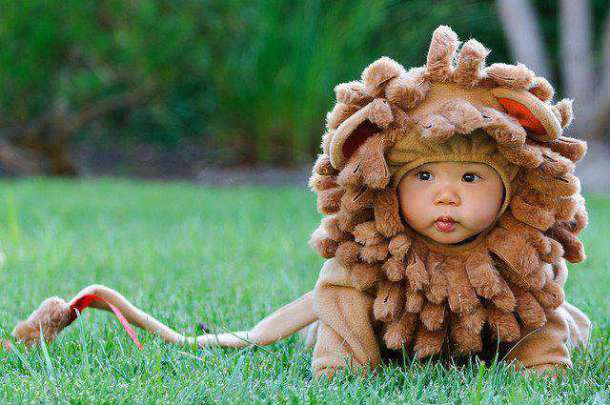 Cute Baby In Lion Costumes
