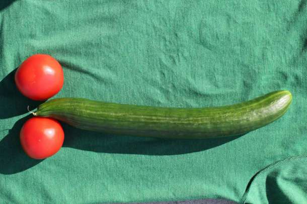 IMG_26241-e1306985672435